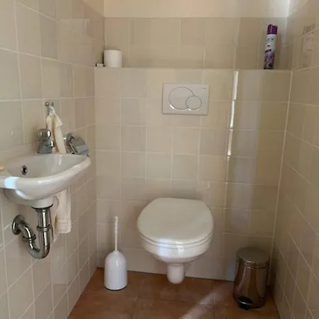 With Terrace Dom wakacyjny Sint Maartensvlotbrug