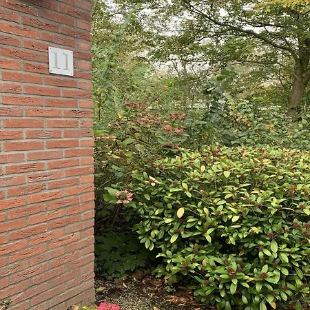 For 4 Guest * Sint Maartensvlotbrug